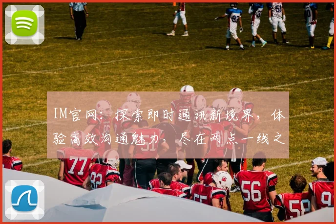 IM官网：探索即时通讯新境界，体验高效沟通魅力，尽在两点一线之间