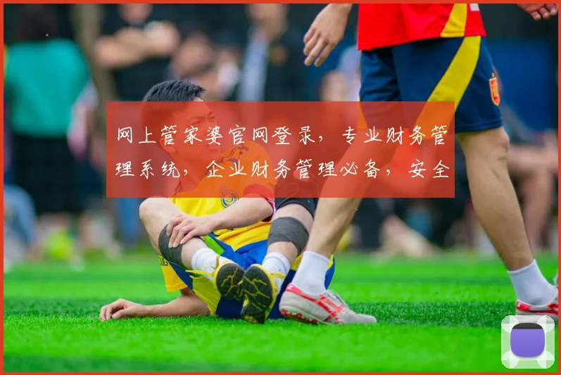 网上管家婆官网登录，专业财务管理系统，企业财务管理必备，安全登录体验