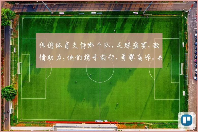 伟德体育支持哪个队,足球盛宴,激情助力,他们携手前行,勇攀高峰,共创辉煌。